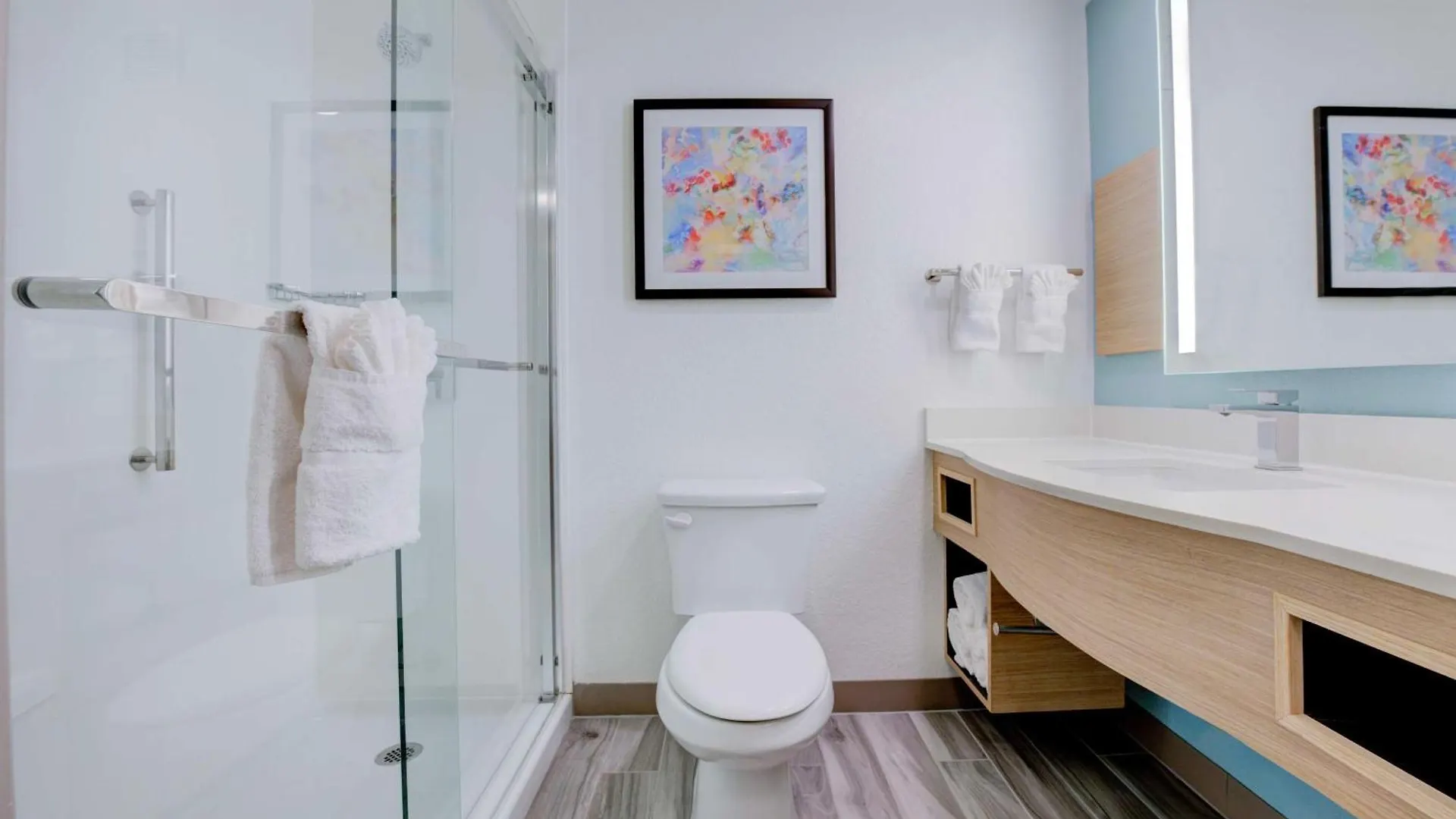 Hotel Hilton Garden Inn Anaheim/Garden Grove